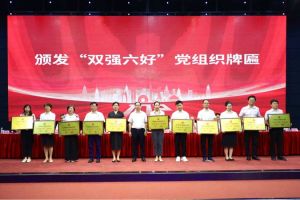 喜报！米兰电竞-点燃电子竞技激情,成就电竞梦想
集团党支部荣获广州市非公有制经济组织“双强六好”党
